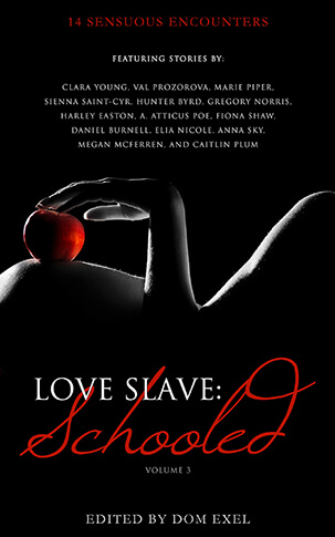 Love Slave: Schooled Cover Image